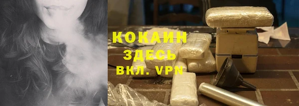 индика Алексин
