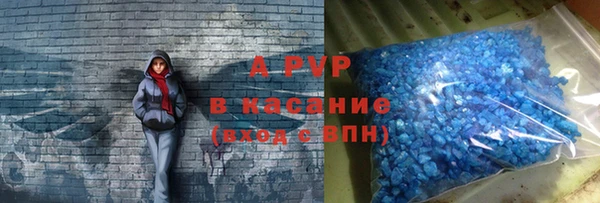 индика Алексин