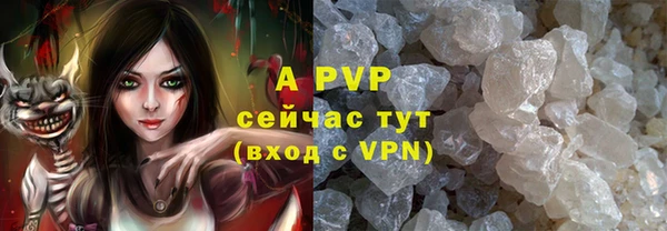 индика Алексин