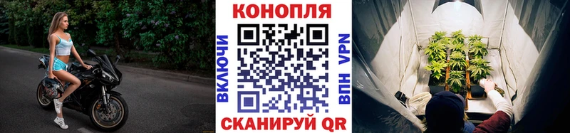 Купить закладки  Ртищево  Канабис ГИДРОПОН 